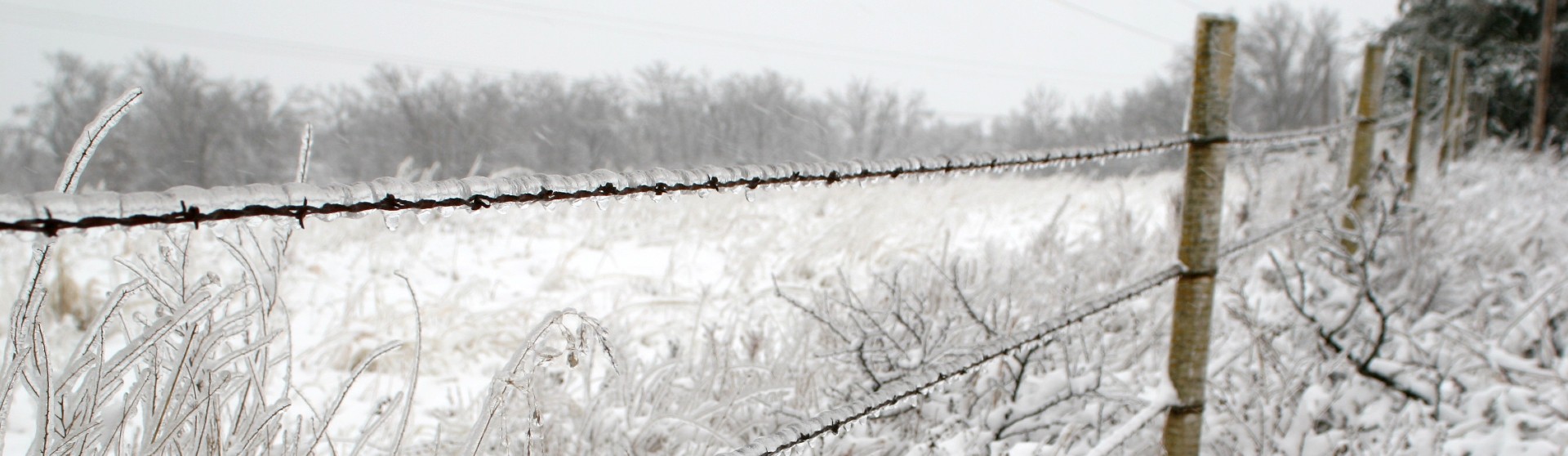 Old barbed wire fence with frozen pasture in background.