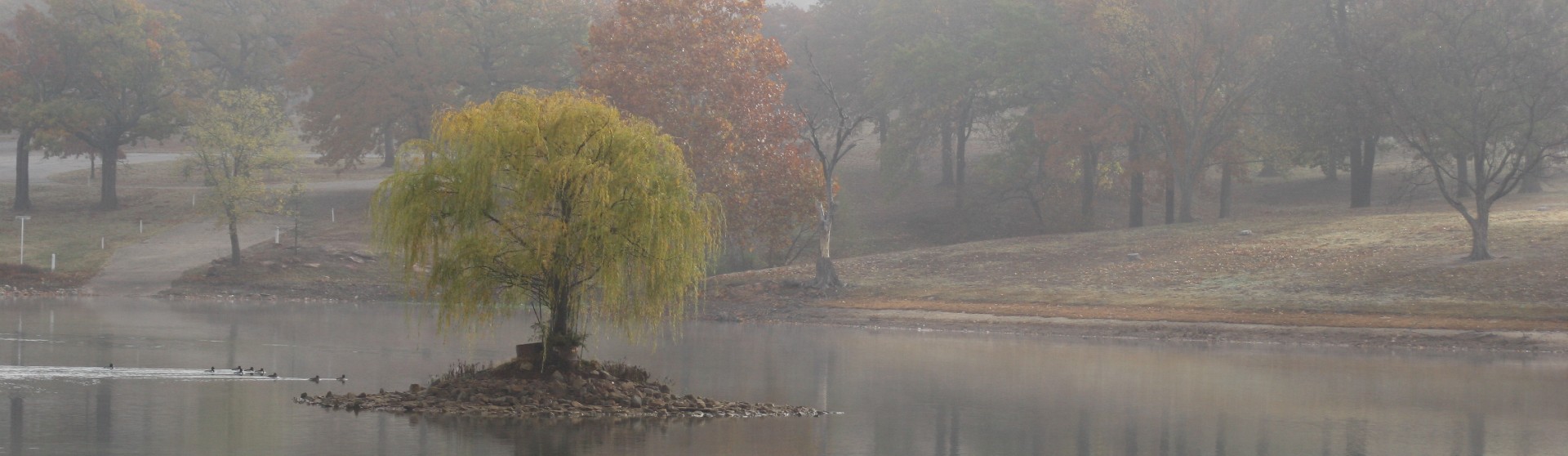 Small island with tree in lake.